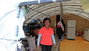 ▲전북 고창의 비닐하우스에서 살고 있는 양 선수 가족들(사진=연합뉴스)