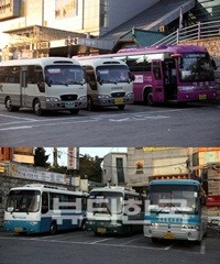▲ 관광객들을 실어나르는 버스들
