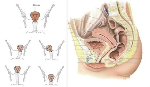 ▲ '정(精)다스림 관리'는 치골의 해부학적 움직임을 토대로 한 근거 있는 관리로서 1회만으로 자궁에 있는 부산물을 청결히 해주어 건강하게 노화를 방지 시켜준다