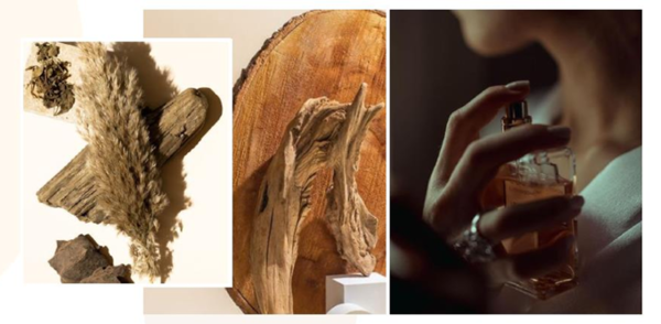   사진 제공=FRANCE Expressions Parfumées 