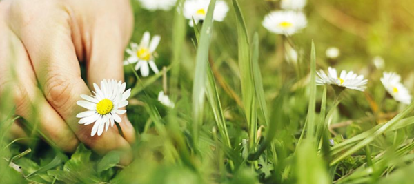 사진 제공=FRANCE Expressions Parfumées