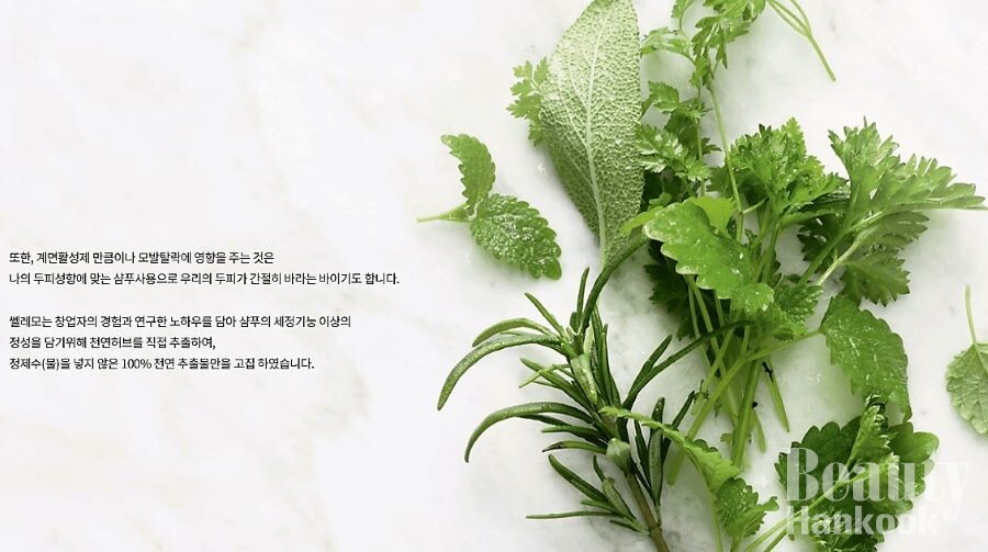 The K-beauty industry is introducing functional products made with traditional Korean botanical ingredients to the global market. [Photo courtesy of PERSNINE Co., Ltd.]