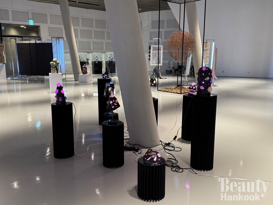 현재 DDP 이간수문 갤러리에서 전시 중인 반반작가의 블랙시리즈/ 사진=석근 기자/뷰티한국DB